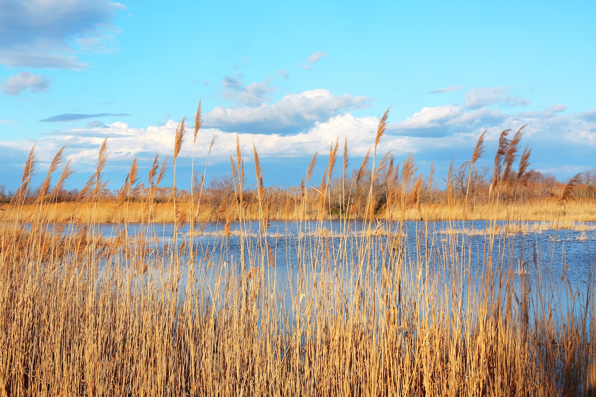 Où partir pendant les ponts d’avril et mai ? 10 idées pour s&rsquo;évader en France