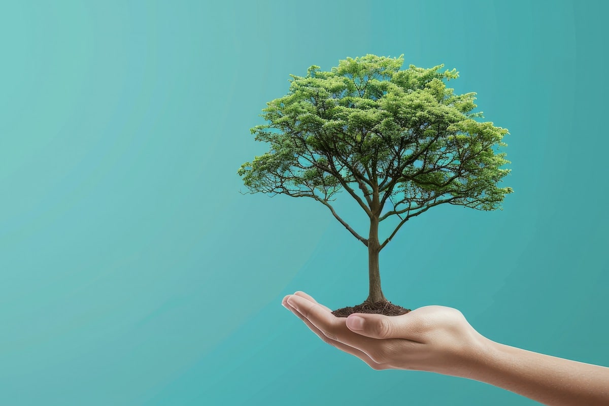 Bilan carbone français : entre avancées encourageantes et défis persistants