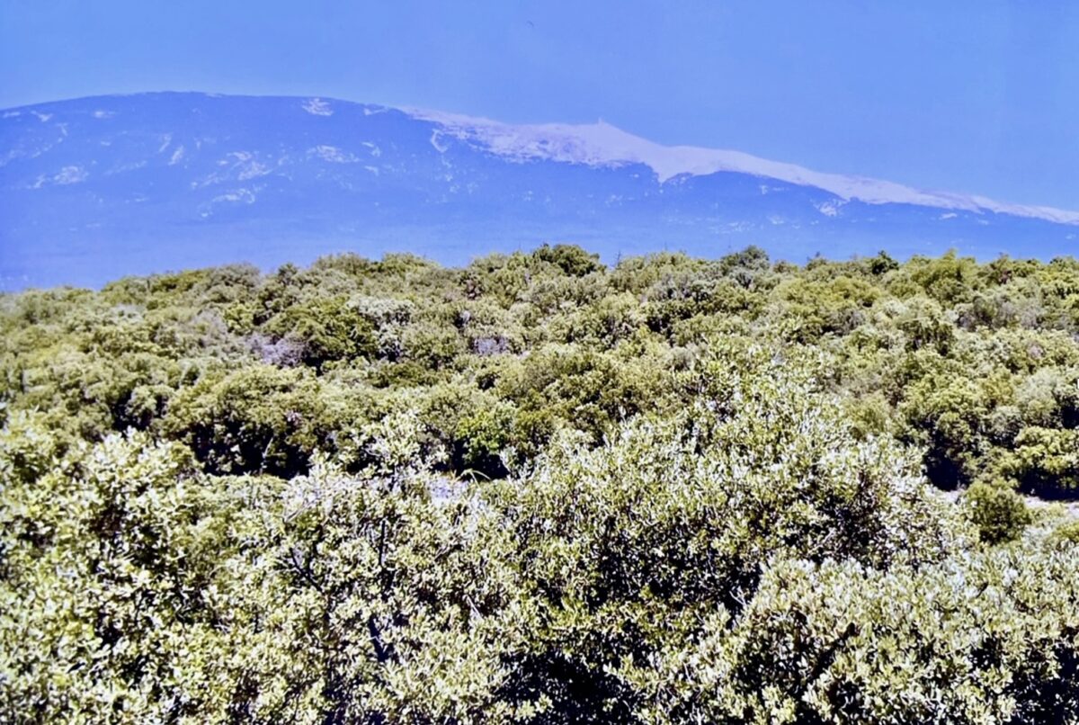 Tour de France /Mont Ventoux : côtoyer les dieux et philosopher