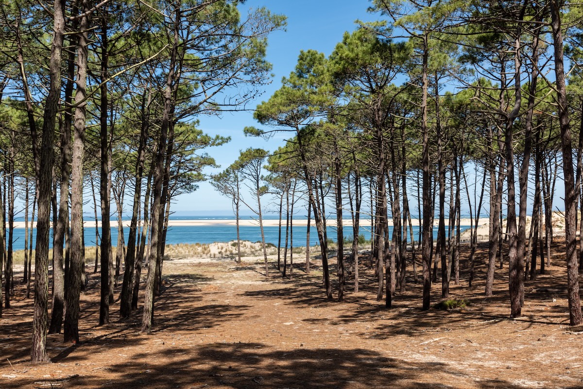 Tourisme : que faire dans les Landes ?