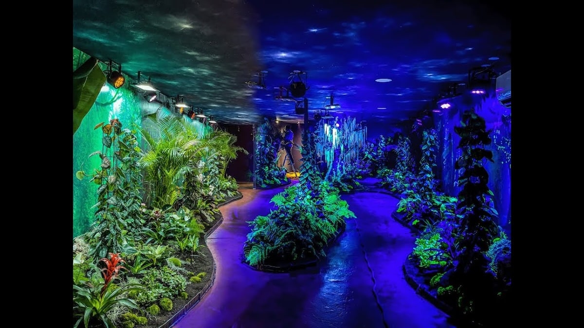 La start-up Aglaé réinvente l’éclairage avec la lumière végétale