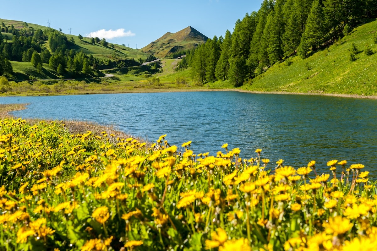 Vars : la montagne grandeur nature pour s’évader sans quitter la France