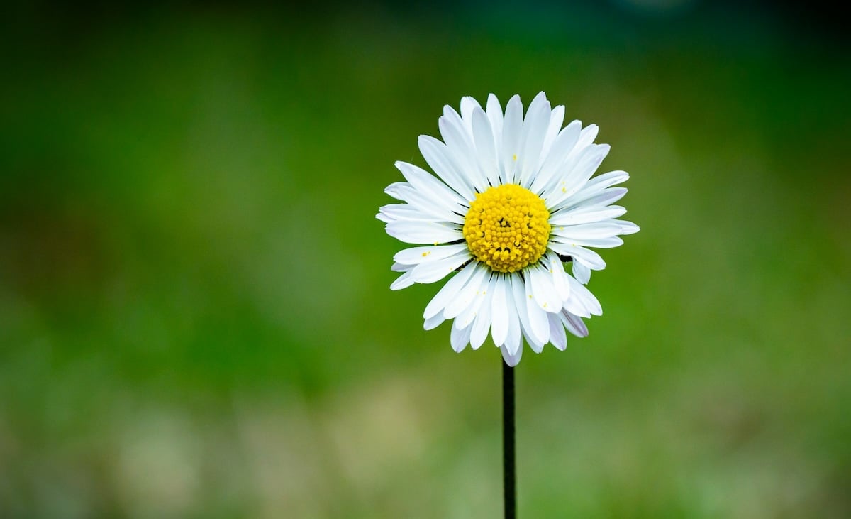 Transition énergétique : Enerfip muscle son offre citoyenne