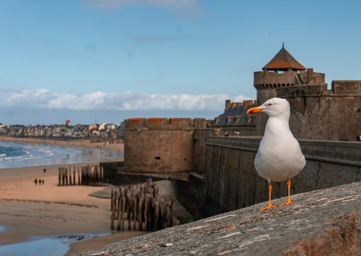 Saint-Malo en famille : que faire avec les enfants pendant les vacances ?
