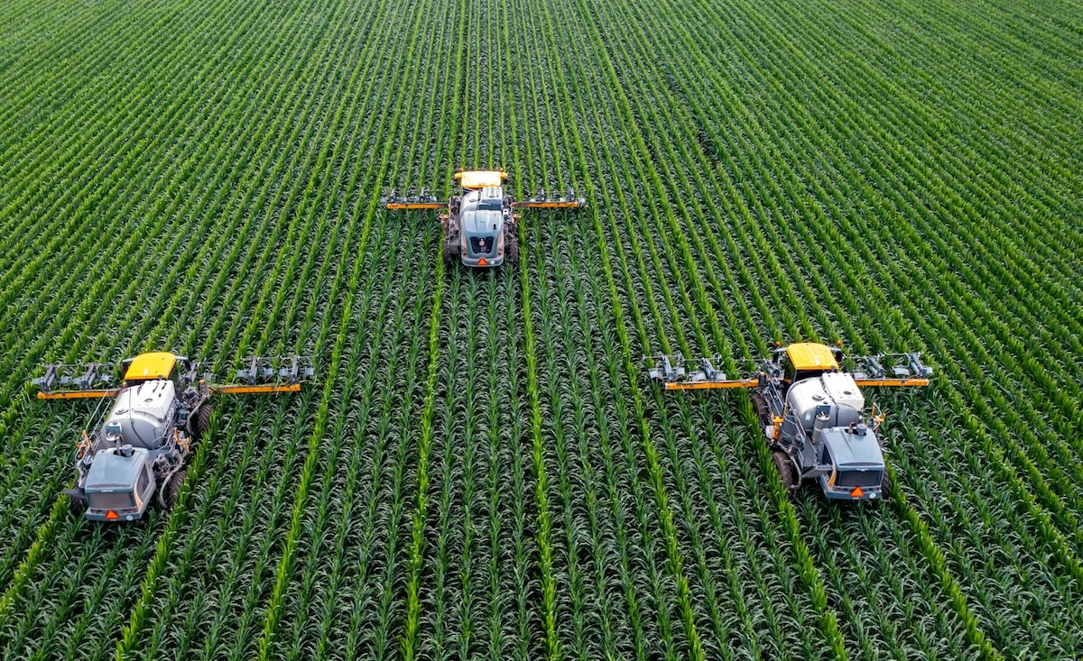 Environnement : la loi Duplomb pourrait légaliser un pesticide neurotoxique