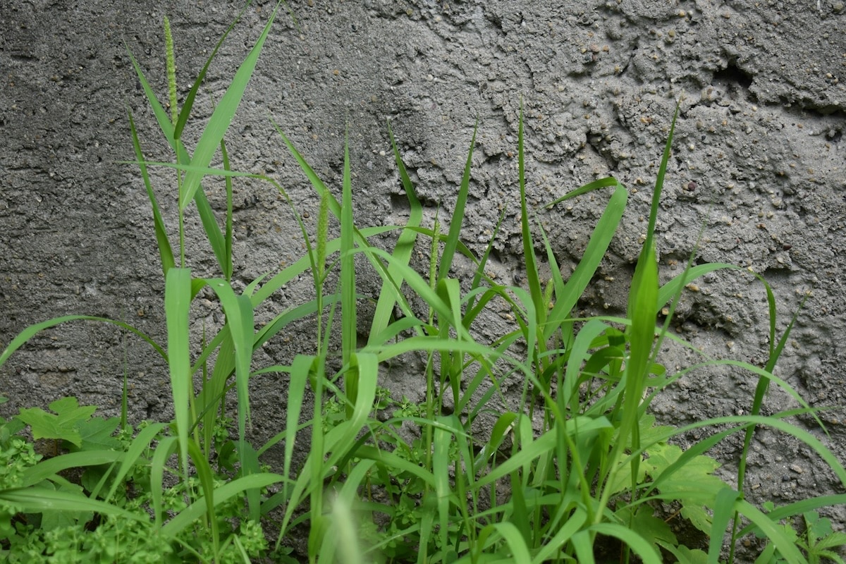 Artificialisation des sols : une baisse en trompe-l’œil qui divise élus et écologistes