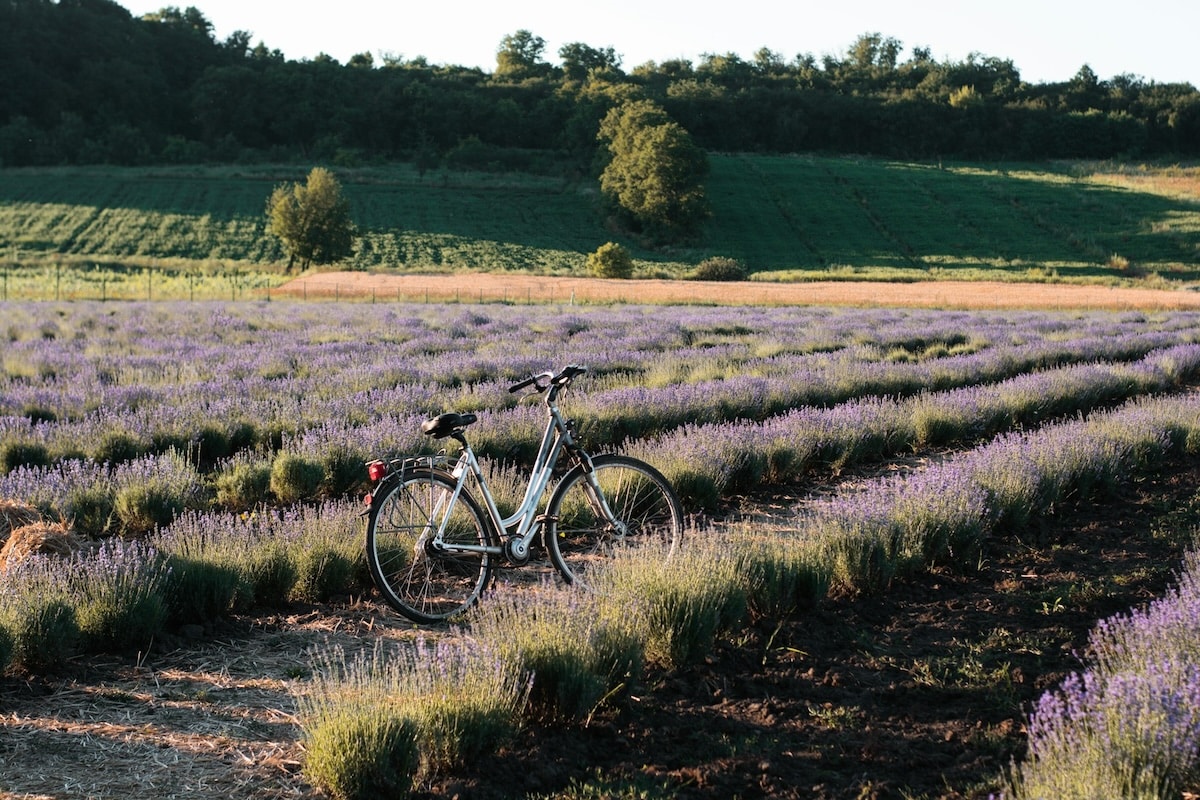 Les 10 plus belles pistes cyclables de Provence