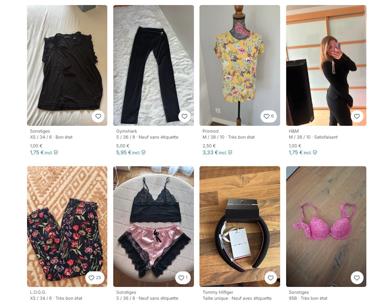 Fraudes sur Vinted, Leboncoin : un fléau en hausse