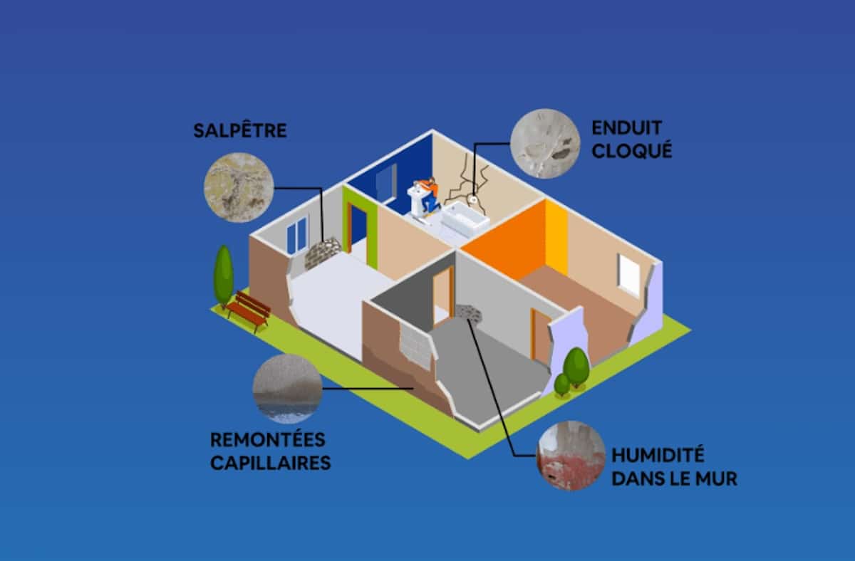 Tarn : Humidistop sèche les murs… et séduit 13 pays