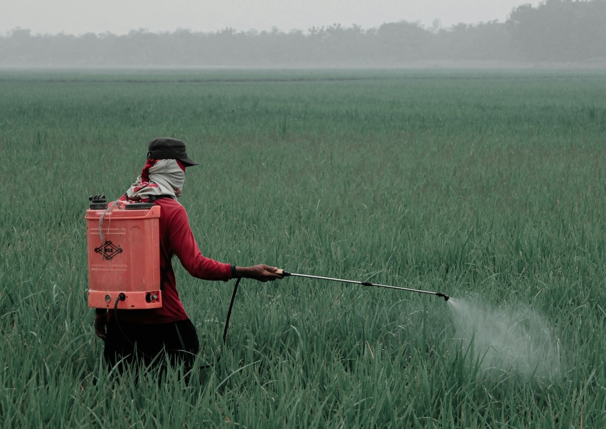 Pétition : bientôt un million de signatures contre la Loi Duplomb