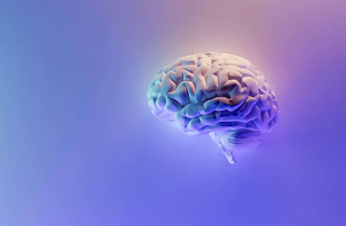 Robeauté, le robot qui se déplace dans le cerveau