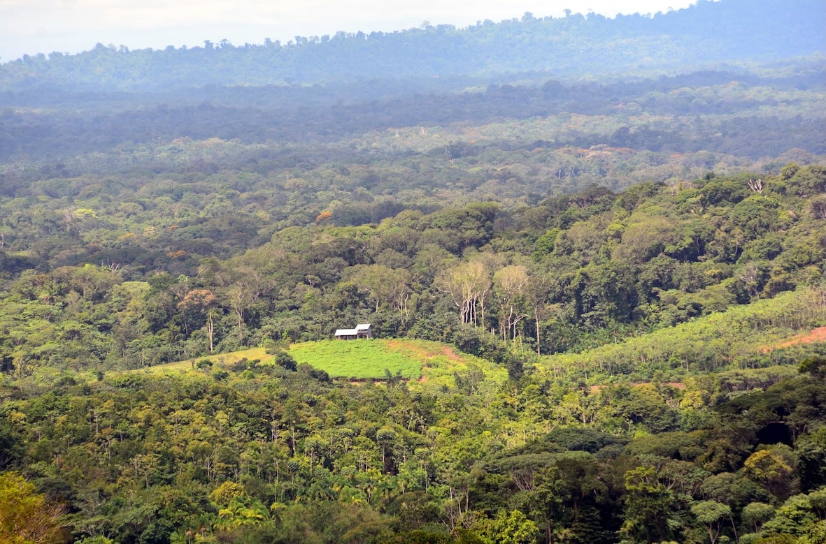 Guyane : deux ans de retard pour la CEOG mais une leçon de concertation
