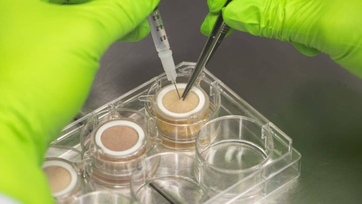 Toulouse : ce fournisseur de peau humaine alimente les labos mondiaux