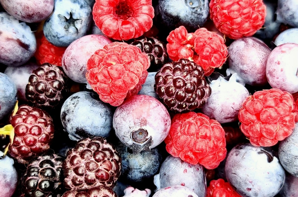 Toulouse : Green Spot Technologies s&rsquo;impose à l&rsquo;international