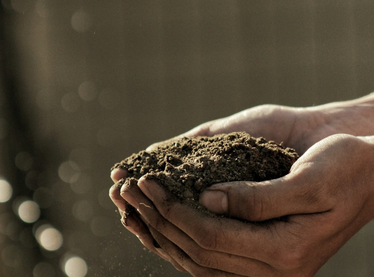 Le compostage humain, nouvelle tendance funéraire ?